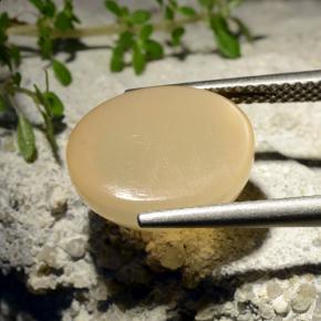 Pietra di luna stellata naturale giallo da 7,68 ct, taglio ovale, traslucido