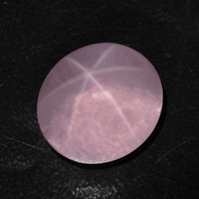 Quarzo rosa stellato Rosa naturale da 35.70 ct, Taglio ovale, Trasparente