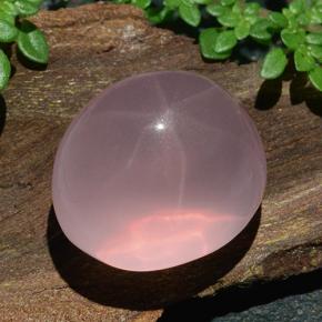 Quarzo rosa stellato Rosa rosa naturale da 31.06 ct, Taglio ovale, Traslucido