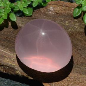 Quarzo rosa stellato Rosa rosa naturale da 31.06 ct, Taglio ovale, Traslucido