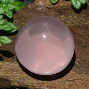 Quarzo rosa stellato naturale rosa da 18,85 ct, taglio rotondo, traslucido