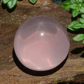 Quarzo rosa stellato naturale rosa da 18,85 ct, taglio rotondo, traslucido