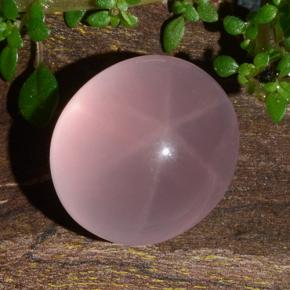 Quarzo rosa stellato Rosa naturale da 11.88 ct, Taglio ovale, Traslucido