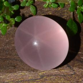 Quarzo rosa stellato Rosa naturale da 11.88 ct, Taglio ovale, Traslucido