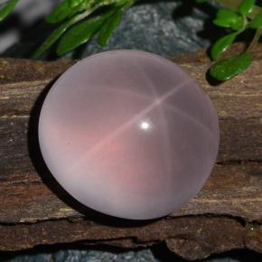 Quarzo rosa stellato Rosa naturale da 13.48 ct, Taglio ovale, Traslucido