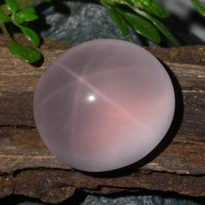 Quarzo rosa stellato Rosa naturale da 13.48 ct, Taglio ovale, Traslucido