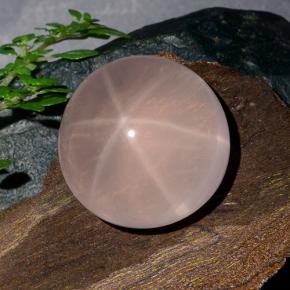 Quarzo rosa stellato Rosa naturale da 39.98 ct, Taglio rotondo, Traslucido