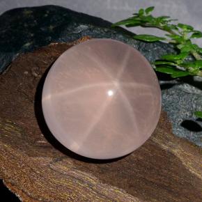 Quarzo rosa stellato Rosa naturale da 39.98 ct, Taglio rotondo, Traslucido