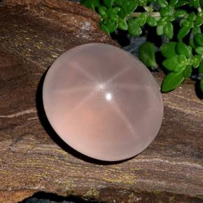 Quarzo rosa stellato Rosa naturale da 29.97 ct, Taglio ovale, Traslucido