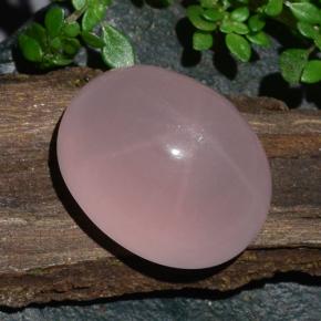 Quarzo rosa stellato Rosa corallo naturale da 28.08 ct, Taglio ovale, Traslucido