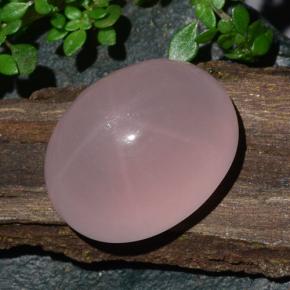Quarzo rosa stellato Rosa corallo naturale da 28.08 ct, Taglio ovale, Traslucido