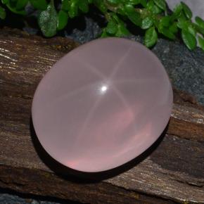 Quarzo rosa stellato Rosa naturale da 29.56 ct, Taglio ovale, Traslucido