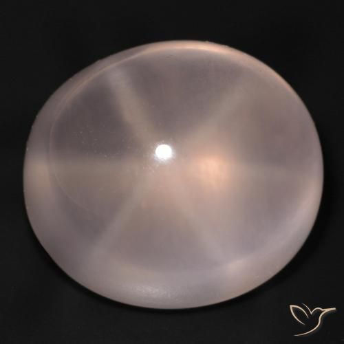 48.94ct Naturale Rosa medio Quarzo rosa stellato, Ovale, Trasparente
