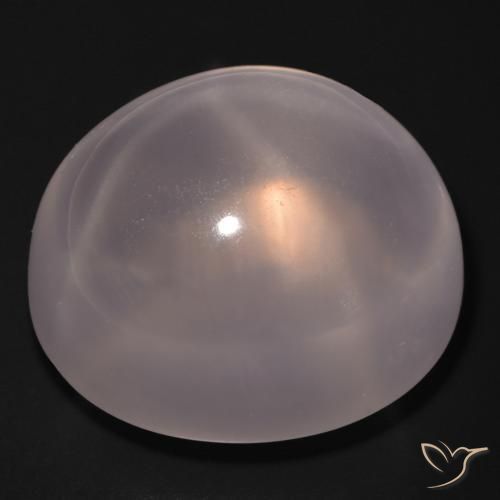 Quarzo rosa stellato Rosa medio naturale da 48.94 ct, Ovale, Trasparente