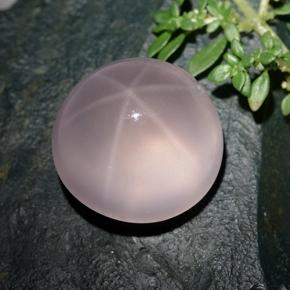Quarzo rosa stellato Rosa naturale da 36.96 ct, Taglio rotondo, Trasparente