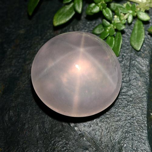 Quarzo rosa stellato Rosa Corallo Chiaro naturale da 25.63 ct, Taglio rotondo, Trasparente