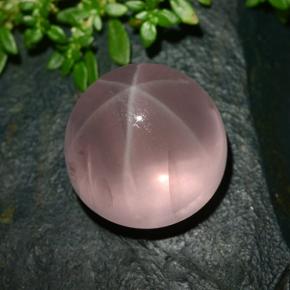 Quarzo rosa stellato naturale rosa da 36,24 ct, taglio rotondo, traslucido