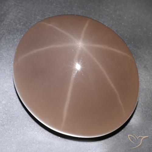 529.63ct Naturale Coccinella rossa Quarzo rosa stellato, Ovale, Traslucido