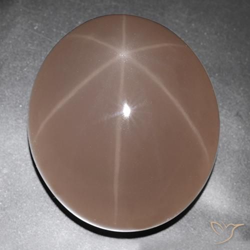 Quarzo rosa stellato Coccinella rossa naturale da 529.63 ct, Ovale, Traslucido