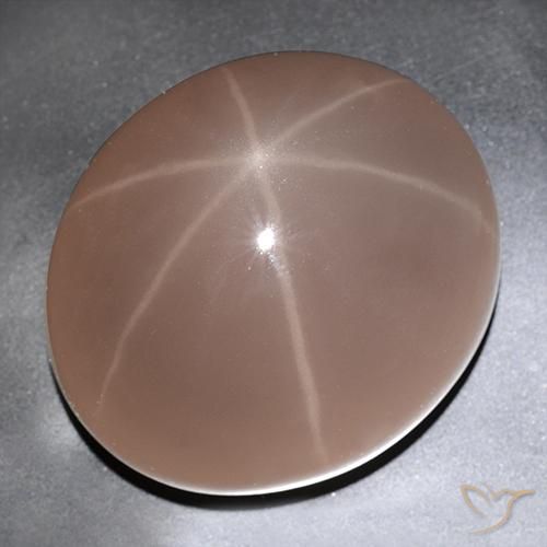 Quarzo rosa stellato Coccinella rossa naturale da 529.63 ct, Ovale, Traslucido
