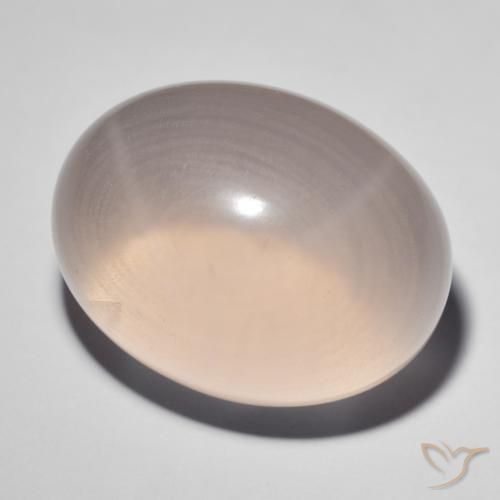 Quarzo rosa stellato Rosa medio naturale da 41.38 ct, Ovale, Trasparente