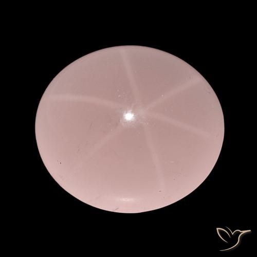 62.47ct Tono rosa Quarzo rosa stellato, Ovale, Traslucido