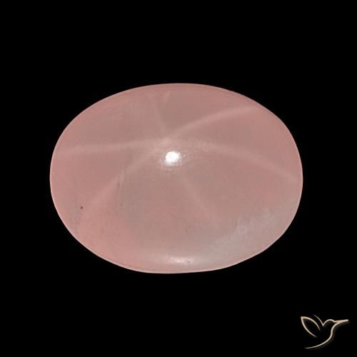 36.81ct Rosa rosa Quarzo rosa stellato, Ovale, Traslucido