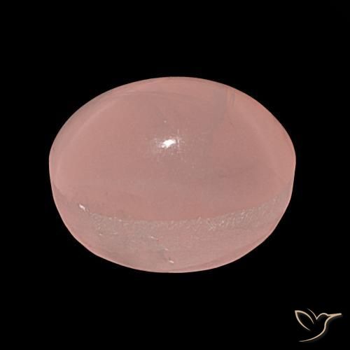 Quarzo rosa stellato Rosa rosa naturale da 36.81 ct, Ovale, Traslucido