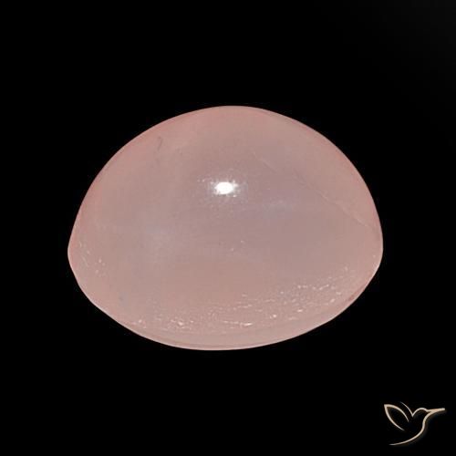 Quarzo rosa stellato Rosa medio naturale da 40.20 ct, Ovale, Traslucido