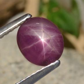 Rubino stellato Rosso violaceo naturale da 1.52 ct, Taglio ovale, Opaco