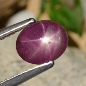 Rubino stellato Rosso violaceo naturale da 1.52 ct, Taglio ovale, Opaco