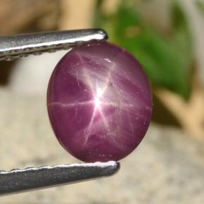 Rubino stellato Rosso violaceo naturale da 1.52 ct, Taglio ovale, Opaco