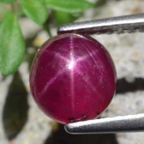 Rubino stellato Rosso violaceo naturale da 2.54 ct, Taglio ovale, Traslucido