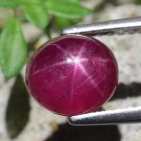 Rubino stellato Rosso violaceo naturale da 2.54 ct, Taglio ovale, Traslucido