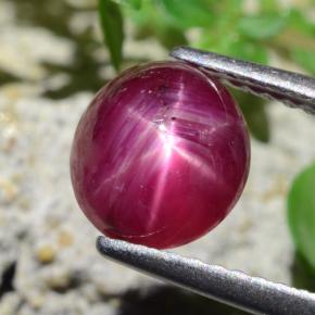 Rubino stellato naturale rosso da 2,27 ct, taglio ovale, traslucido