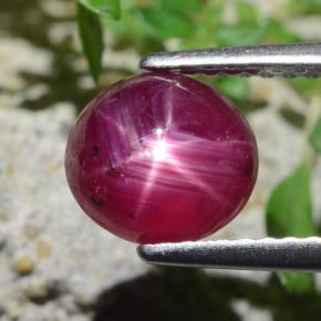 Rubino stellato naturale rosso da 2,27 ct, taglio ovale, traslucido