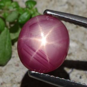 Rubino stellato naturale rosso da 3,05 ct, taglio ovale, opaco