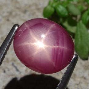 Rubino stellato naturale rosso da 3,05 ct, taglio ovale, opaco