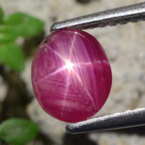Rubino stellato Rosso violaceo naturale da 1.71 ct, Taglio ovale, Traslucido