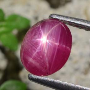 Rubino stellato Rosso violaceo naturale da 1.71 ct, Taglio ovale, Traslucido