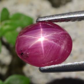 Rubino stellato Rosso violaceo naturale da 1.71 ct, Taglio ovale, Traslucido