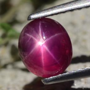Rubino stellato Rosso violaceo naturale da 1.47 ct, Taglio ovale, Traslucido