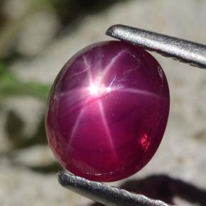 Rubino stellato Rosso violaceo naturale da 1.47 ct, Taglio ovale, Traslucido