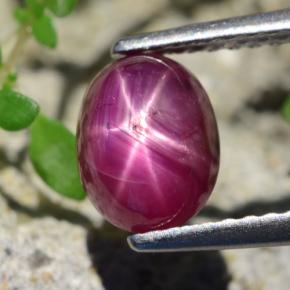 Rubino stellato Rosso violaceo naturale da 2.26 ct, Taglio ovale, Traslucido
