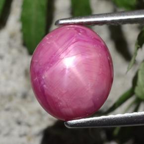 Rubino stellato naturale rosso da 4,47 ct, taglio ovale, opaco