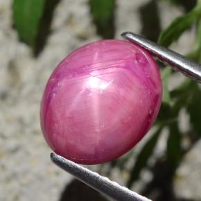 Rubino stellato naturale rosso da 4,47 ct, taglio ovale, opaco