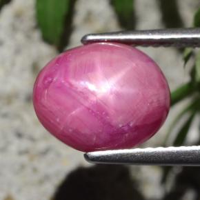 Rubino stellato naturale rosso da 4,47 ct, taglio ovale, opaco