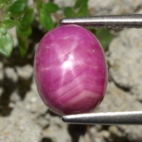 Rubino stellato naturale rosso da 4,79 ct, taglio ovale, opaco