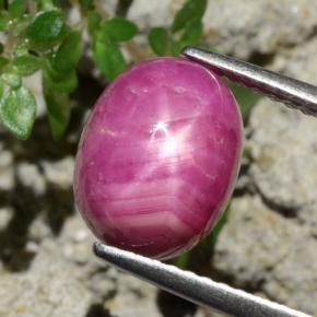 Rubino stellato naturale rosso da 4,79 ct, taglio ovale, opaco