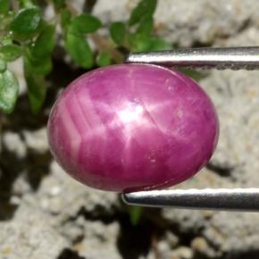 Rubino stellato naturale rosso da 4,79 ct, taglio ovale, opaco